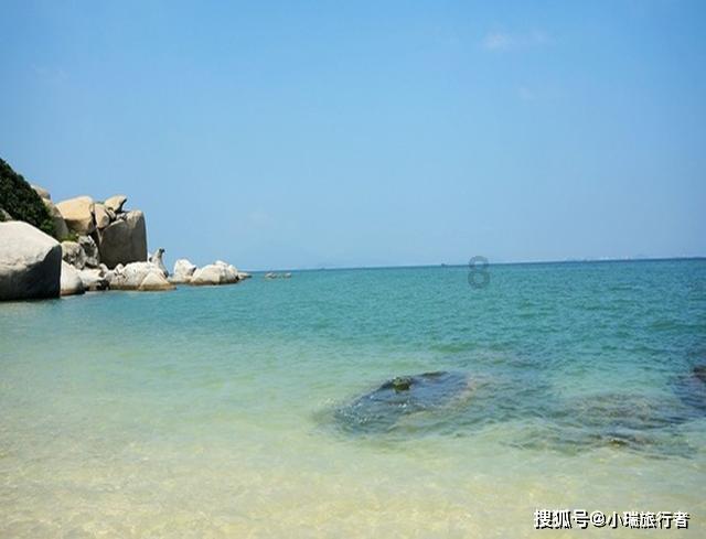 逃离野猫森林