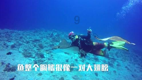 救援受困的奴隶