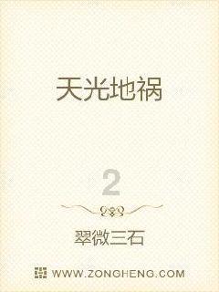 含硼聚乙烯材料能吸收掉中子毒物棒的辐照效应吗